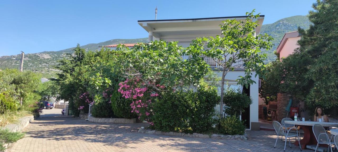 Resort Haus Toma Cesarica Exterior foto